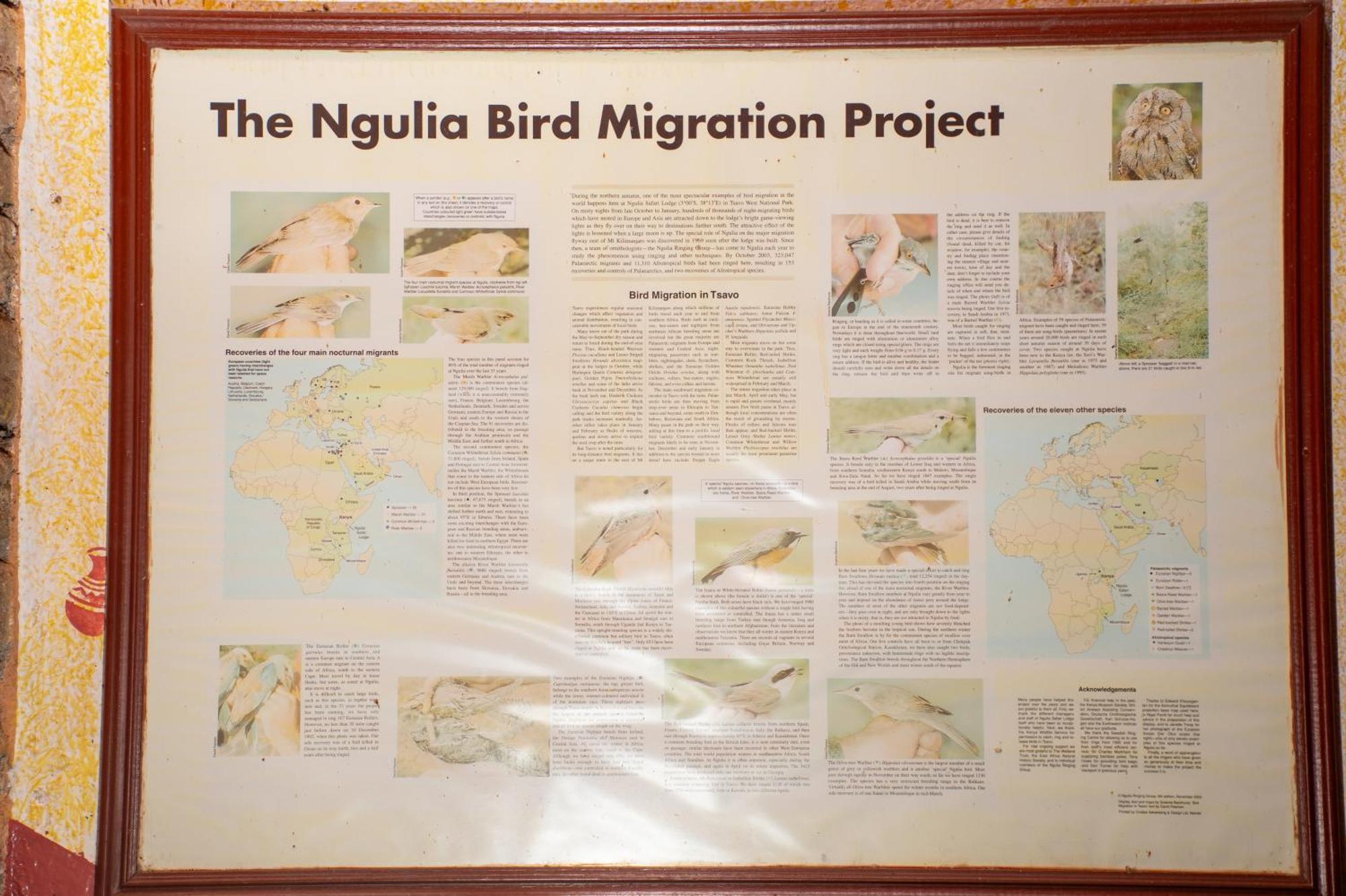 Ngulia Safari Lodge Ithumba المظهر الخارجي الصورة
