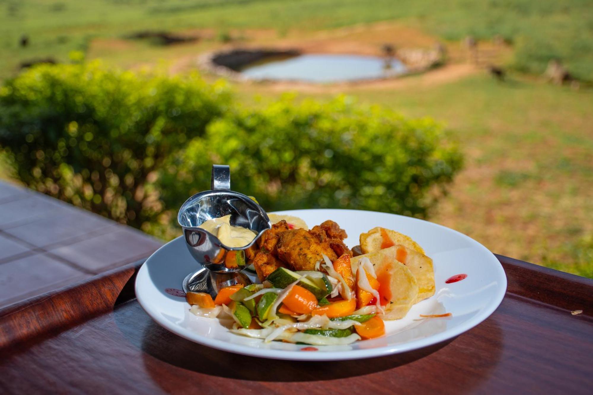 Ngulia Safari Lodge Ithumba المظهر الخارجي الصورة