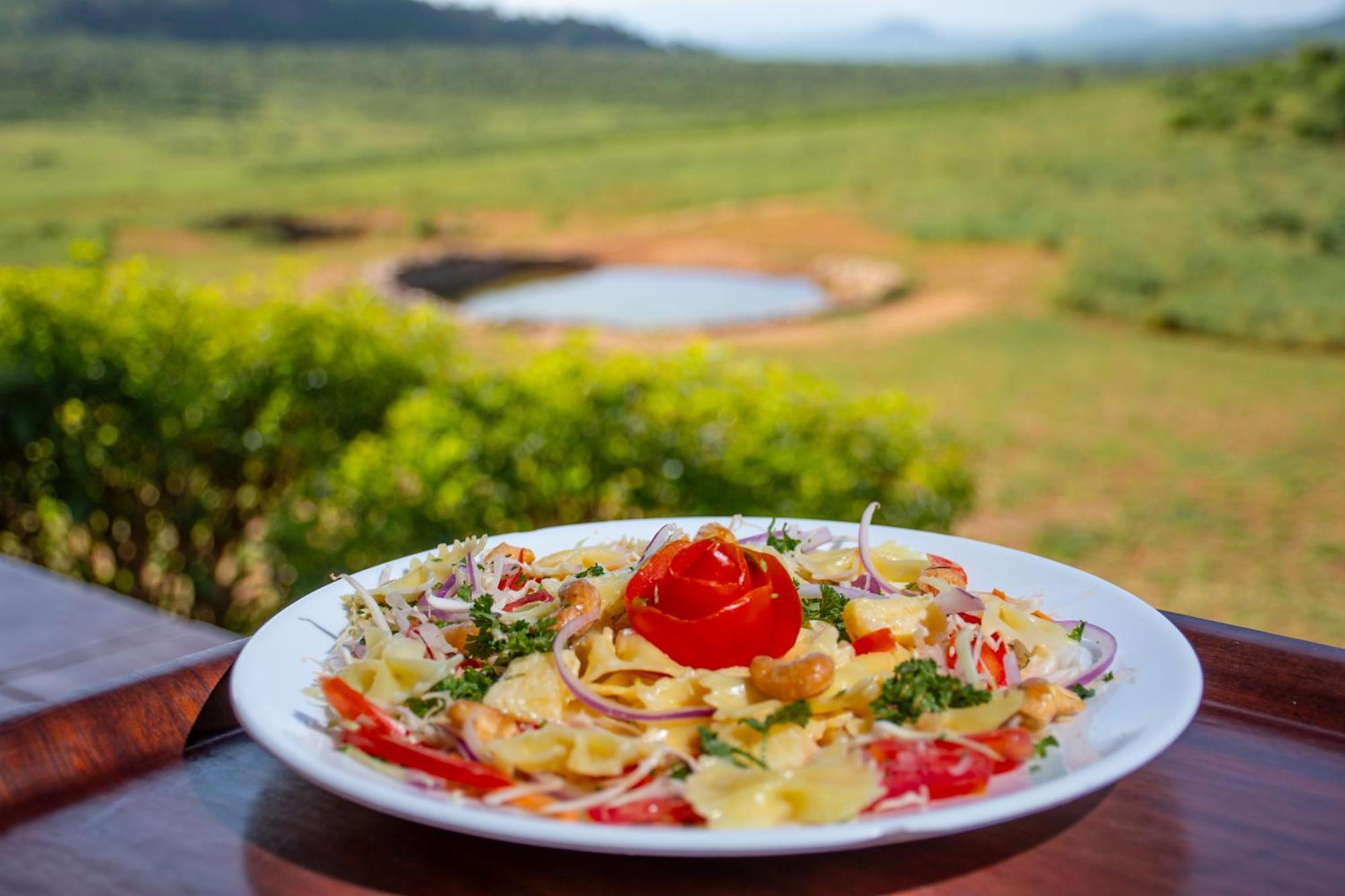 Ngulia Safari Lodge Ithumba المظهر الخارجي الصورة